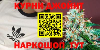 каннабис Аргун