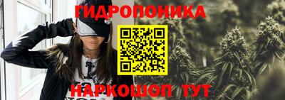 каннабис Аргун