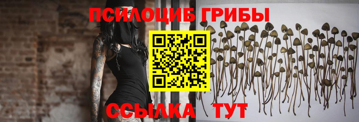 Гашиш Донской
