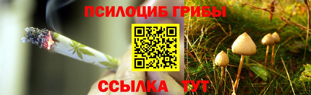 Псилоцибиновые грибы мухоморы  Псилоцибиновые грибы мухоморы  Донской  Вход с VPN 