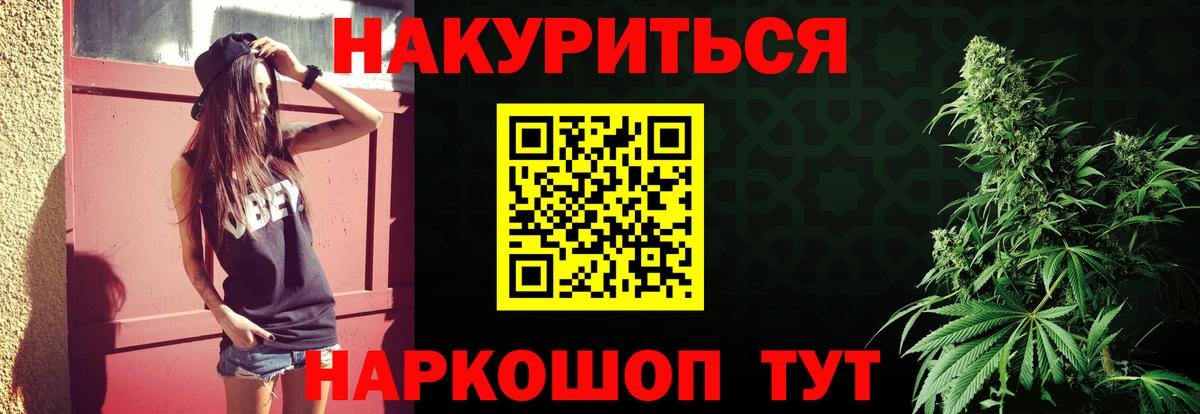 Каннабис планчик Донской